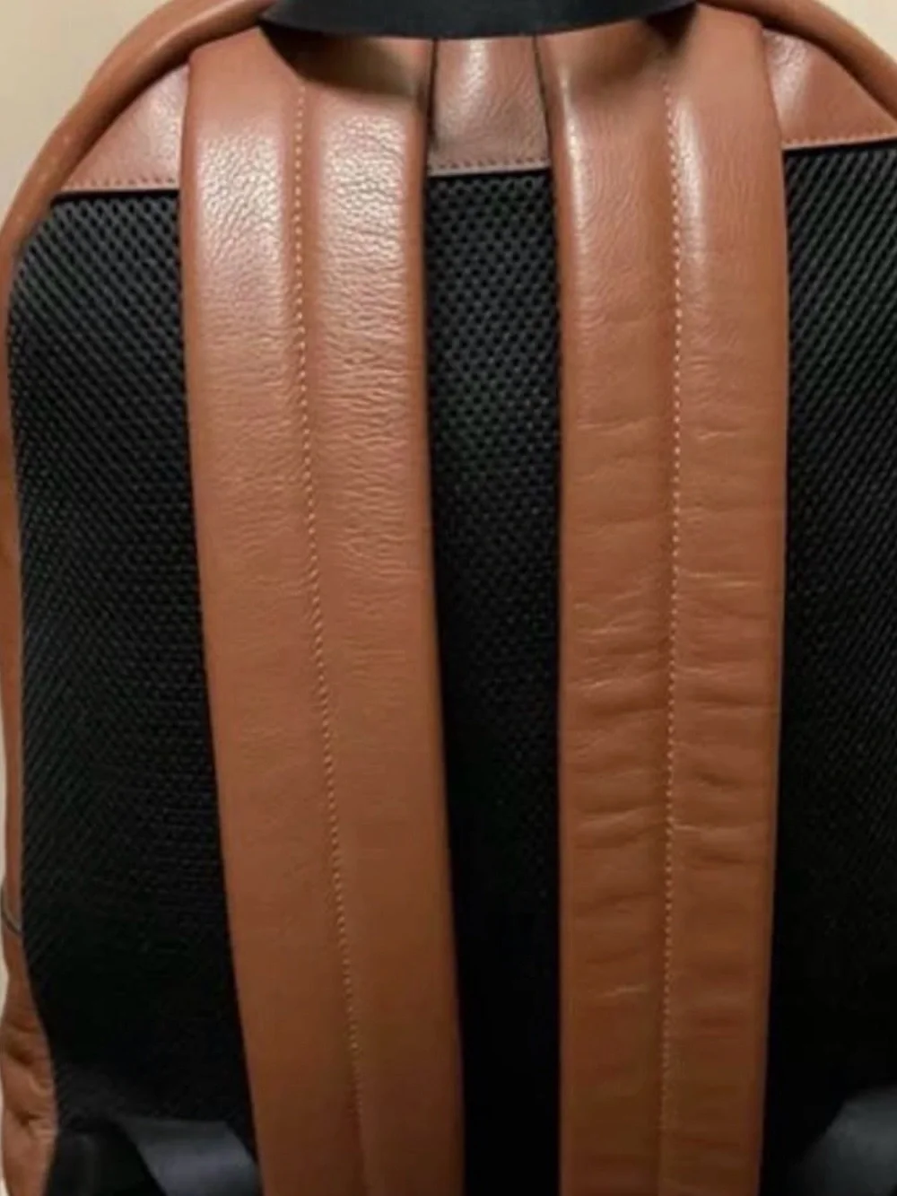 COACH Leather Backpack